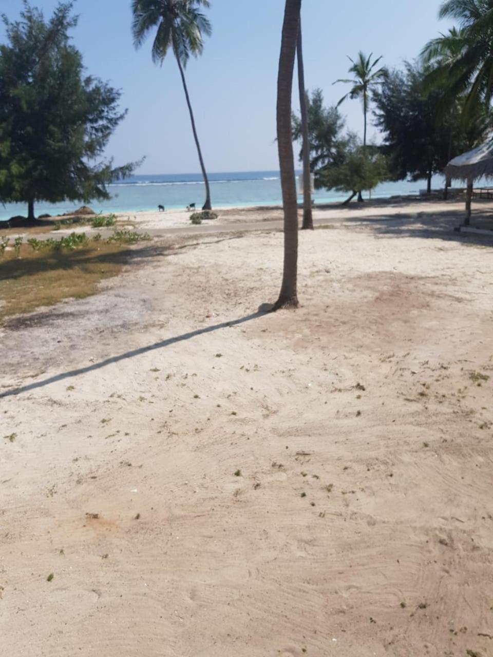 Flyzone Premium Cottages Agatti Esterno foto
